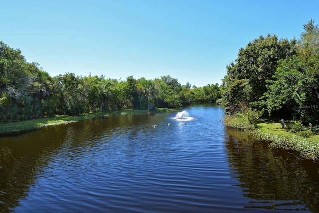 137 Woodland Pl, Osprey, FL 34229 - water view with a forest