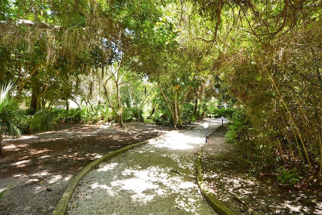 137 Woodland Pl, Osprey, FL 34229 - view of home's community