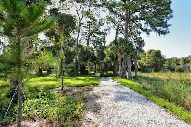 137 Woodland Pl, Osprey, FL 34229 - view of road