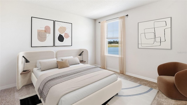 12064 Lansing Gln, Parrish, FL 34219 - bedroom with carpet, baseboards, and a textured ceiling