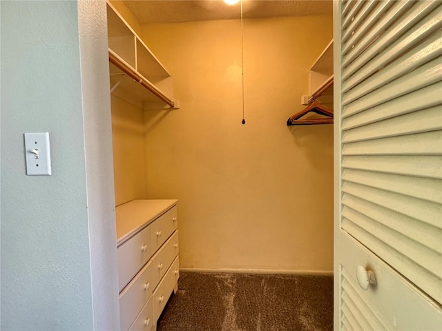 3500 El Conquistador Pkwy Unit 347, Bradenton, FL 34210 - spacious closet with dark carpet