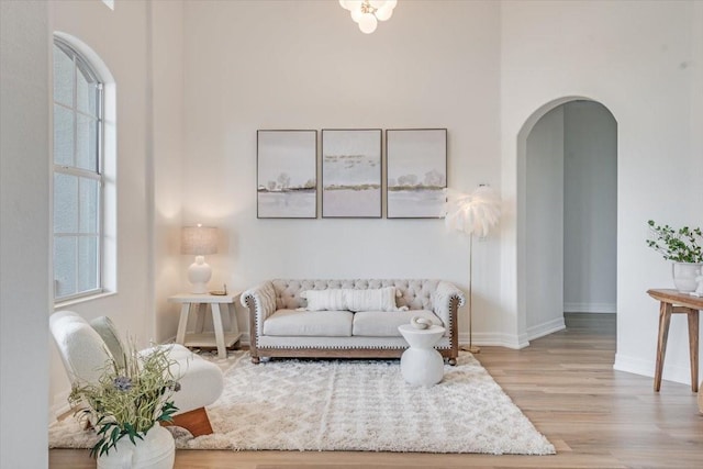 800 NW 36th Ave, Cape Coral, FL 33993 - living area featuring arched walkways, wood finished floors, plenty of natural light, baseboards, and a high ceiling