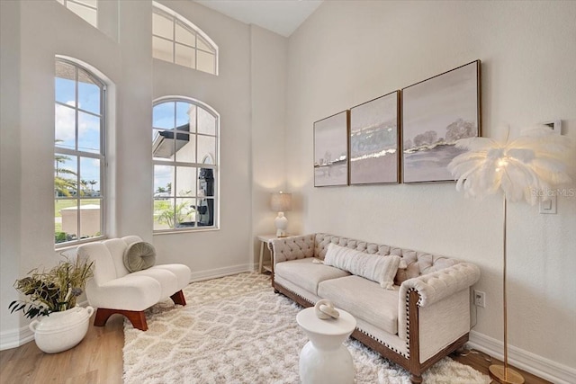 800 NW 36th Ave, Cape Coral, FL 33993 - living room featuring wood finished floors, baseboards, and a high ceiling