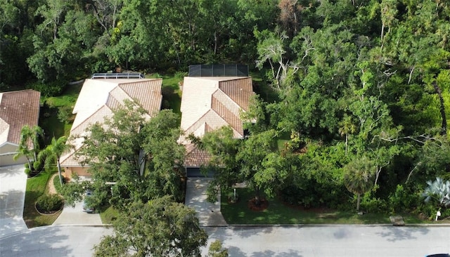 6744 Hickory Hammock Cir, Bradenton, FL 34202 - view from above of property