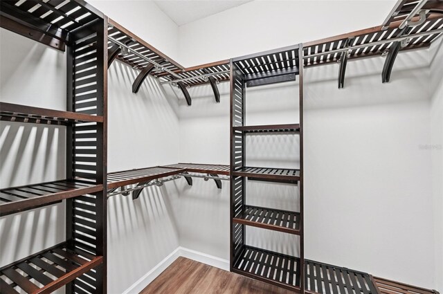 6744 Hickory Hammock Cir, Bradenton, FL 34202 - spacious closet featuring wood finished floors