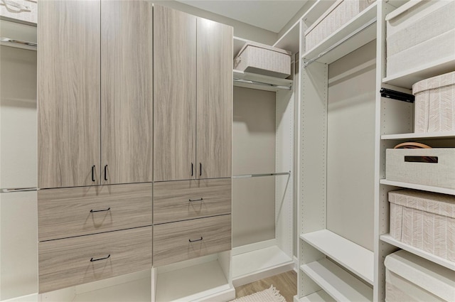17898 Cherished Loop, Bradenton, FL 34211 - walk in closet with wood finished floors