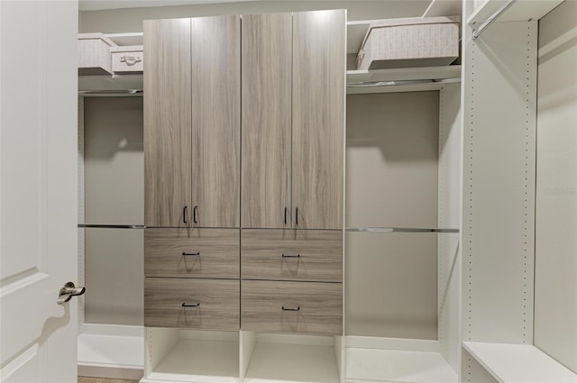17898 Cherished Loop, Bradenton, FL 34211 - view of walk in closet