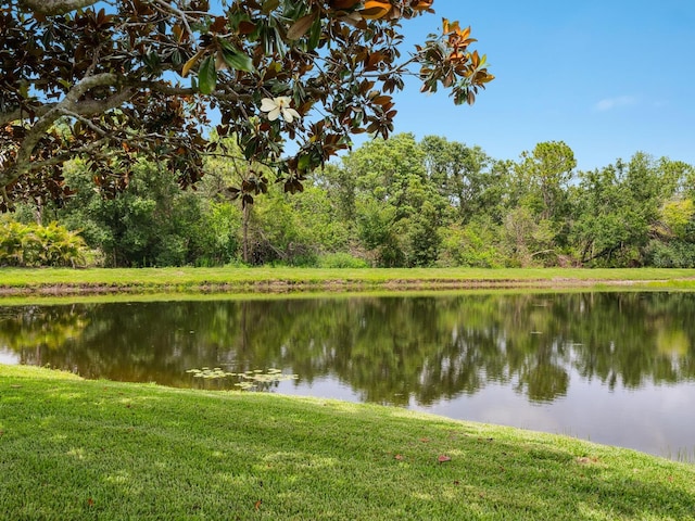 6811 Honeysuckle Trl, Lakewood Ranch, FL 34202 - water view