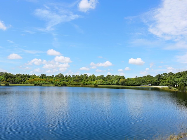 6811 Honeysuckle Trl, Lakewood Ranch, FL 34202 - water view with a heavily wooded area