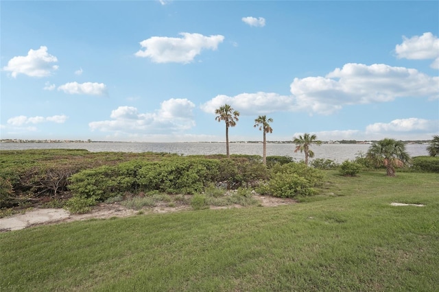 850 Tidewater Shores Loop Unit 108, Bradenton, FL 34208 - view of grassy yard featuring a water view