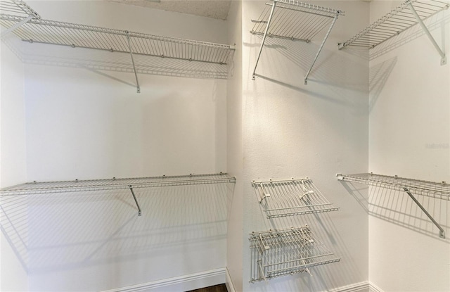 4811 14th Ave E, Bradenton, FL 34208 - view of walk in closet