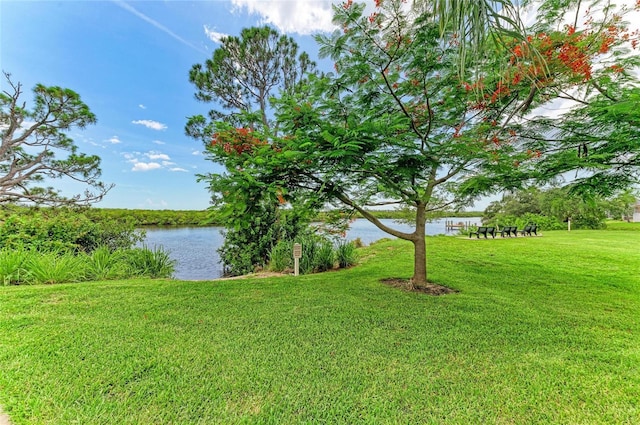 4811 14th Ave E, Bradenton, FL 34208 - view of grassy yard featuring a water view
