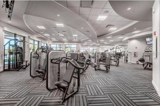 16804 Vardon Ter Unit 307, Bradenton, FL 34211 - exercise room featuring carpet, a drop ceiling, healthy amount of natural light, and a tray ceiling
