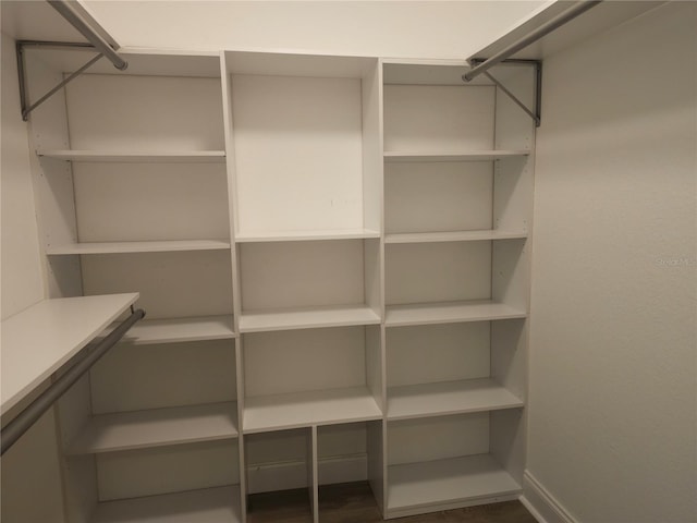 5207 86th Street Ct W, Bradenton, FL 34210 - view of spacious closet
