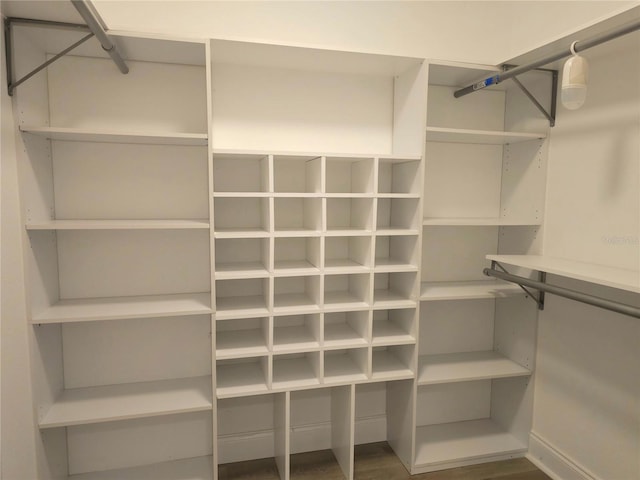 5207 86th Street Ct W, Bradenton, FL 34210 - view of walk in closet