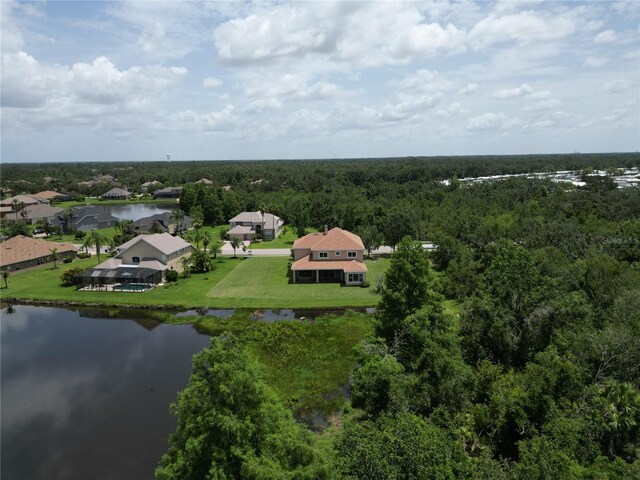 4307 70th Ave E, Ellenton, FL 34222 - bird's eye view of a forest and a nearby body of water