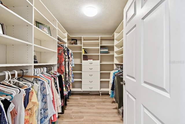 2825 Terra Ceia Bay Blvd Unit 1804, Palmetto, FL 34221 - spacious closet featuring light wood-style flooring