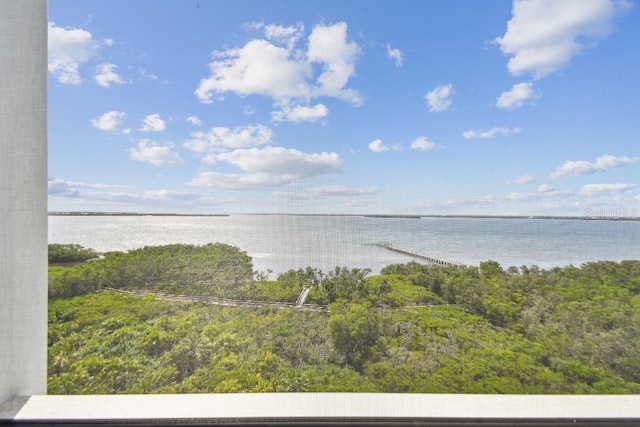 2825 Terra Ceia Bay Blvd Unit 1804, Palmetto, FL 34221 - water view