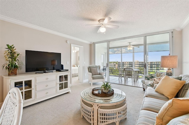 4460 Fairways Blvd Unit 607, Bradenton, FL 34209 - photo 28