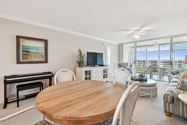 4460 Fairways Blvd Unit 607, Bradenton, FL 34209 - photo 29