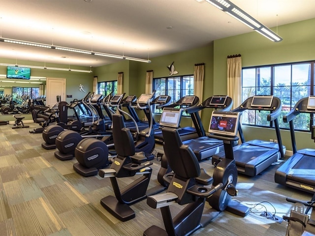 4949 Savona Run, Bradenton, FL 34211 - workout area with carpet