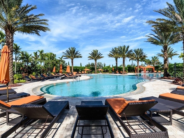 4949 Savona Run, Bradenton, FL 34211 - community pool featuring a patio area