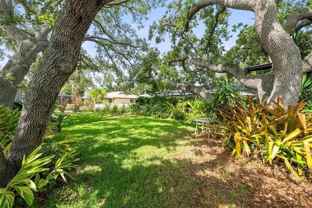 2204 67th St W, Bradenton, FL 34209 - view of yard