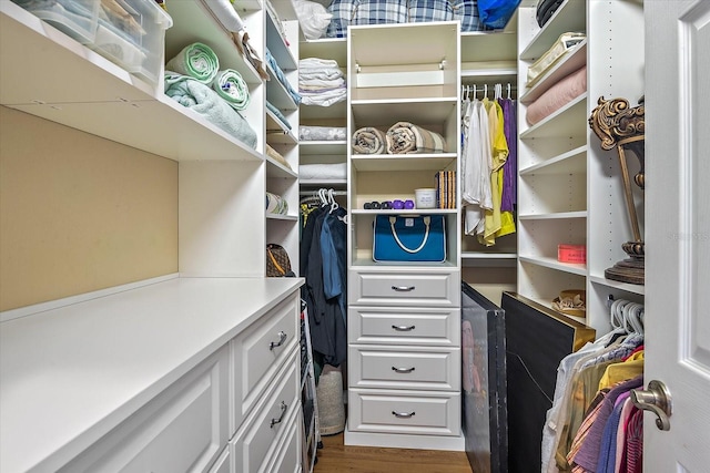 7325 Skybird Rd Unit 399, Bradenton, FL 34209 - spacious closet featuring dark wood-style flooring