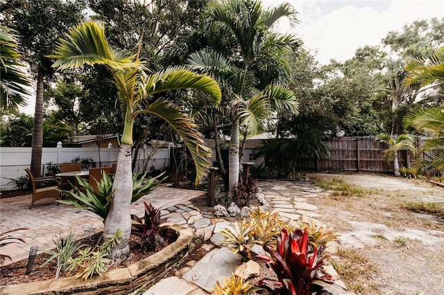 4945 Camphor Ave, Sarasota, FL 34231 - fenced backyard with a patio