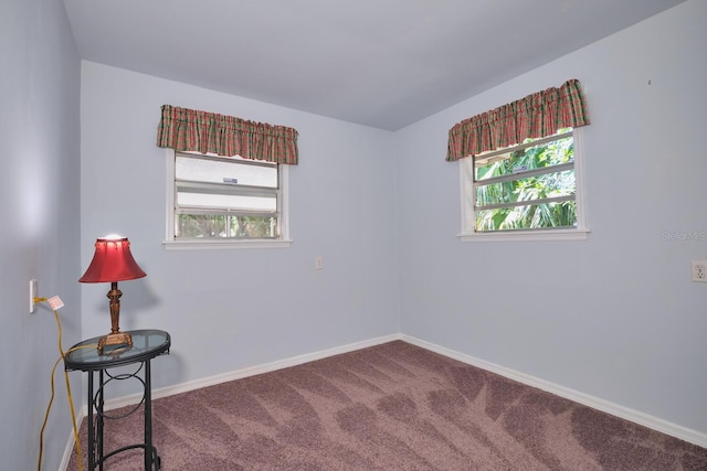 4131 Ellis Rd, Fort Myers, FL 33905 - photo 53