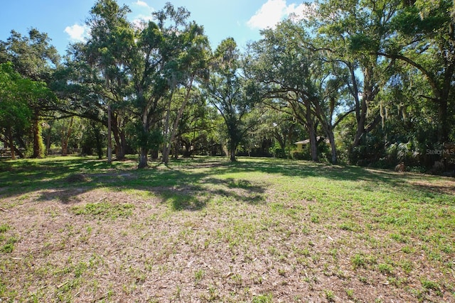 4131 Ellis Rd, Fort Myers, FL 33905 - photo 72