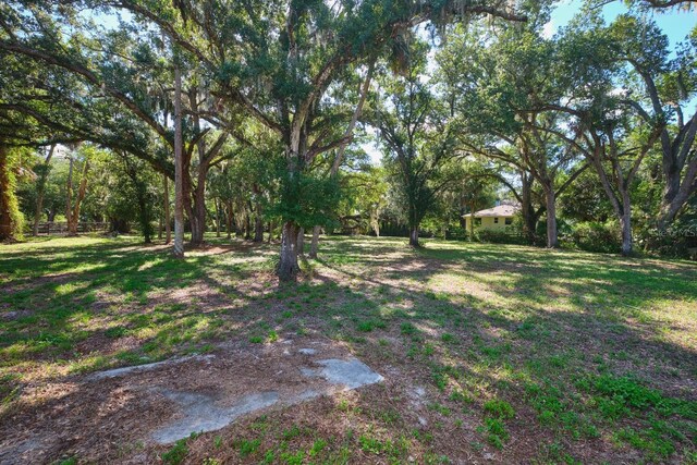 4131 Ellis Rd, Fort Myers, FL 33905 - photo 77