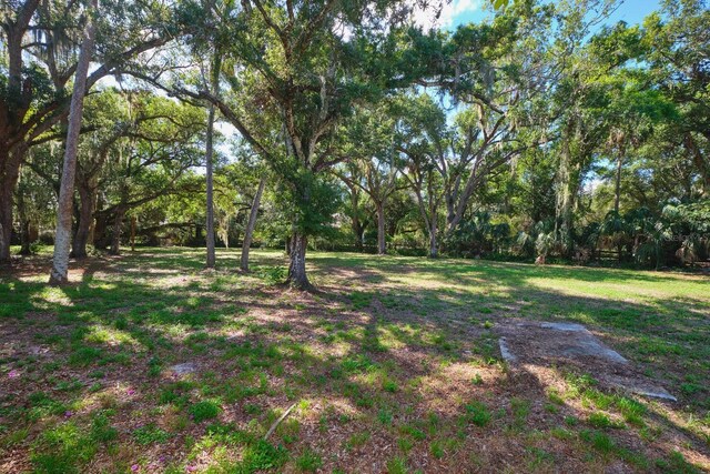 4131 Ellis Rd, Fort Myers, FL 33905 - photo 81