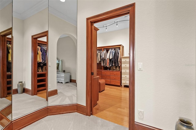 7025 Saddle Creek Cir, Sarasota, FL 34241 - hallway with arched walkways, ornamental molding, light carpet, and rail lighting