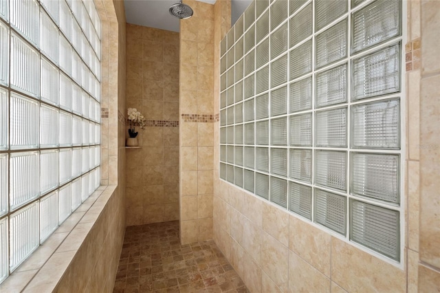 7025 Saddle Creek Cir, Sarasota, FL 34241 - bathroom with a walk in shower