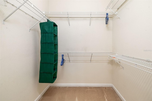 5609 Spanish Point Ct, Palmetto, FL 34221 - walk in closet featuring carpet flooring