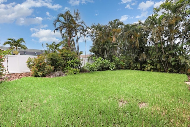 7401 3rd Ave NW, Bradenton, FL 34209 - view of yard