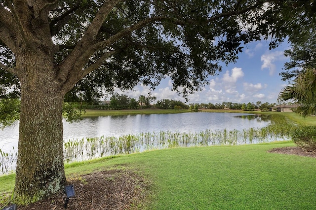 13338 Torresina Ter, Lakewood Ranch, FL 34211 - photo 43