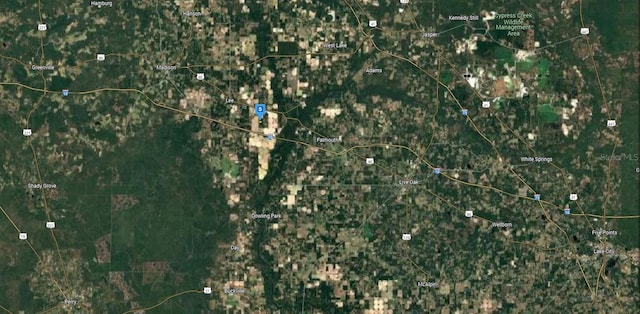 157 SE Donovan Trl, Lee, FL 32059