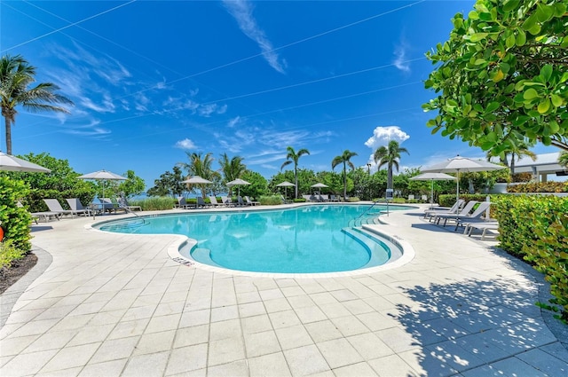 315 Sapphire Lake Dr Unit 101, Bradenton, FL 34209 - community pool featuring a patio
