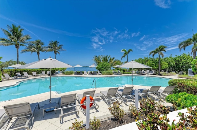 315 Sapphire Lake Dr Unit 101, Bradenton, FL 34209 - community pool with a patio