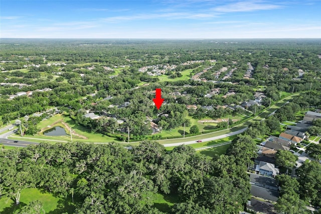 5103 Twin Creeks Dr, Valrico, FL 33596 - aerial view of property and surrounding area with a heavily wooded area