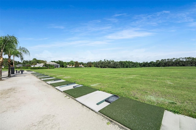 5103 Twin Creeks Dr, Valrico, FL 33596 - surrounding community with a yard