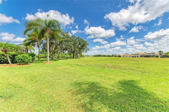 8906 Stone Harbour Loop, Bradenton, FL 34212 - view of grassy yard
