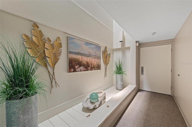 5806 Gulf Dr Unit 201S, Holmes Beach, FL 34217 - hall featuring baseboards