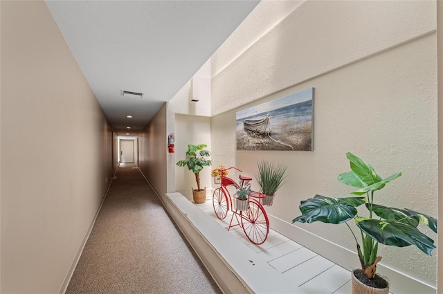 5806 Gulf Dr Unit 201S, Holmes Beach, FL 34217 - hall with carpet floors and baseboards