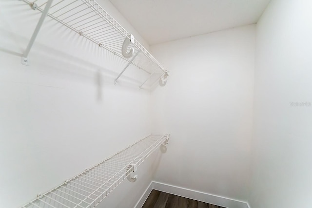4616 34th Ave E, Bradenton, FL 34208 - walk in closet featuring dark wood-style flooring