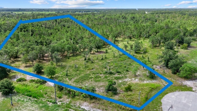 2025 409th Ct E, Myakka City, FL 34251