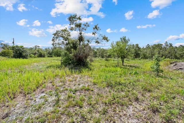 2025 409th Ct E, Myakka City, FL 34251