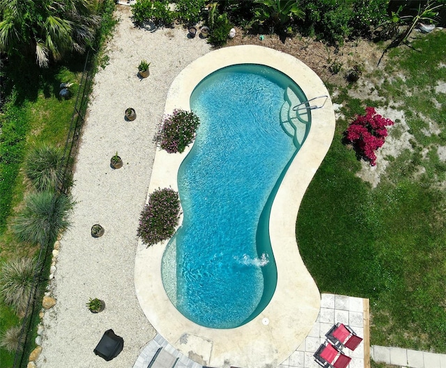 2216 Lake Shore Dr, Nokomis, FL 34275 - view of swimming pool